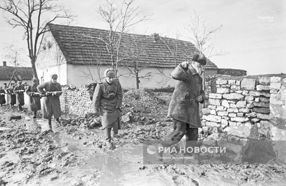 � ����������� ����������� ������� �� ������ ���� ��������� ��������� �������� ����- � ����������� ������� ���