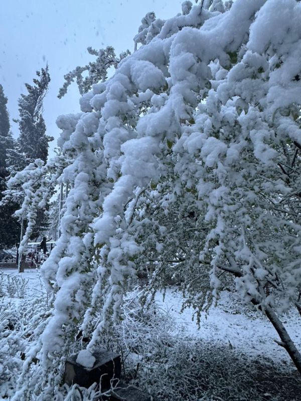 ������, ������� ������� ���