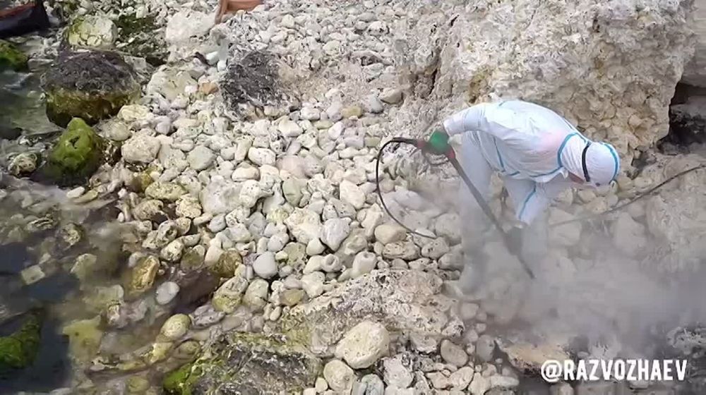 � ������� ����� ���������� ����� ������� ������ � ���� ��������� �� ������ � ������� ��������������