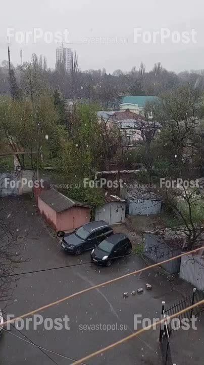 �� ��������� ������, � � ������� ����� � ���� ����� ������ ����