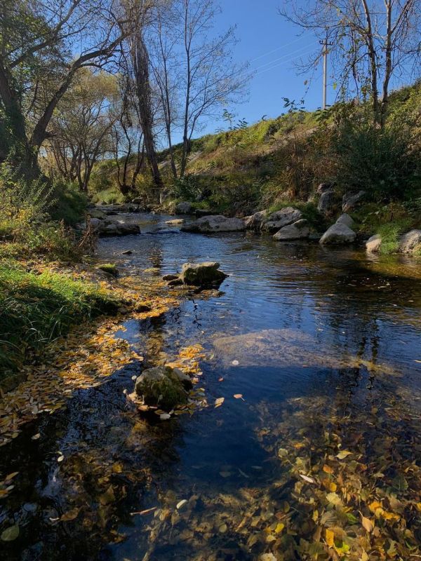 � 2025 ���� � ����������� ����������� �������� ���� ׸���� � ������� �� �������