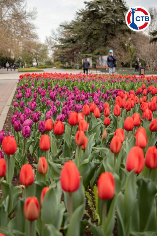 �� ���������� �������� ������ ��������������� ����� ���������