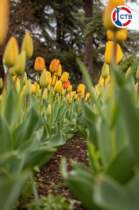 �� ���������� �������� ������ ��������������� ����� ���������