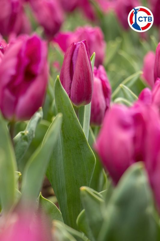 �� ���������� �������� ������ ��������������� ����� ���������