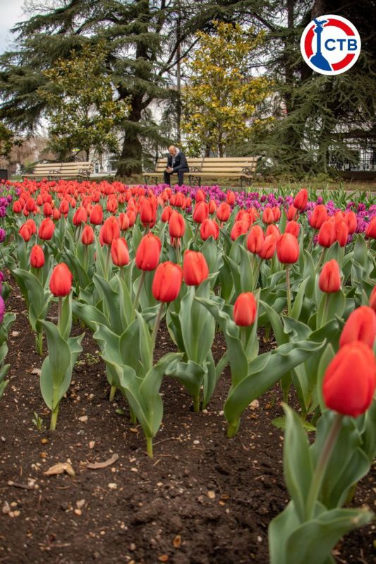 �� ���������� �������� ������ ��������������� ����� ���������