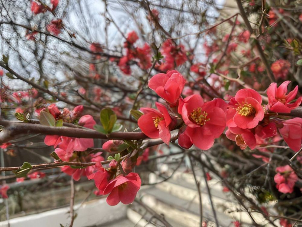 #��� ��� �� ������?. ���� �� ������ �������� ������ � �����������