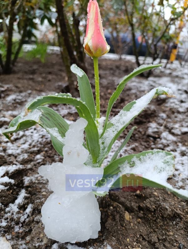 ������ ����, �����������! ������� ��������� ������� ������� ������, �� ��� ��������� �����