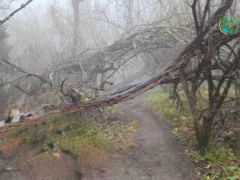 ���������� ��������� ���� � ������� ��������� ��������� �� ������������ ������� ������� ��������� �� ���������� ������� ��������������� �����