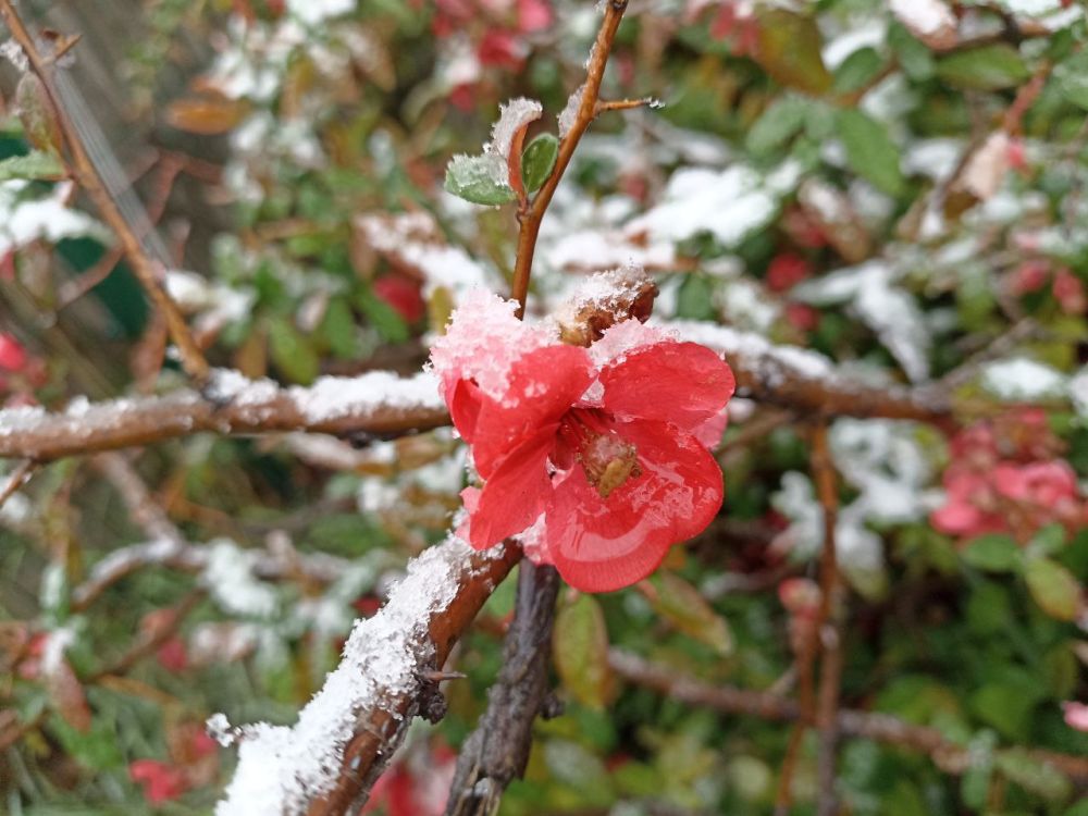 ������� ����, �����������!