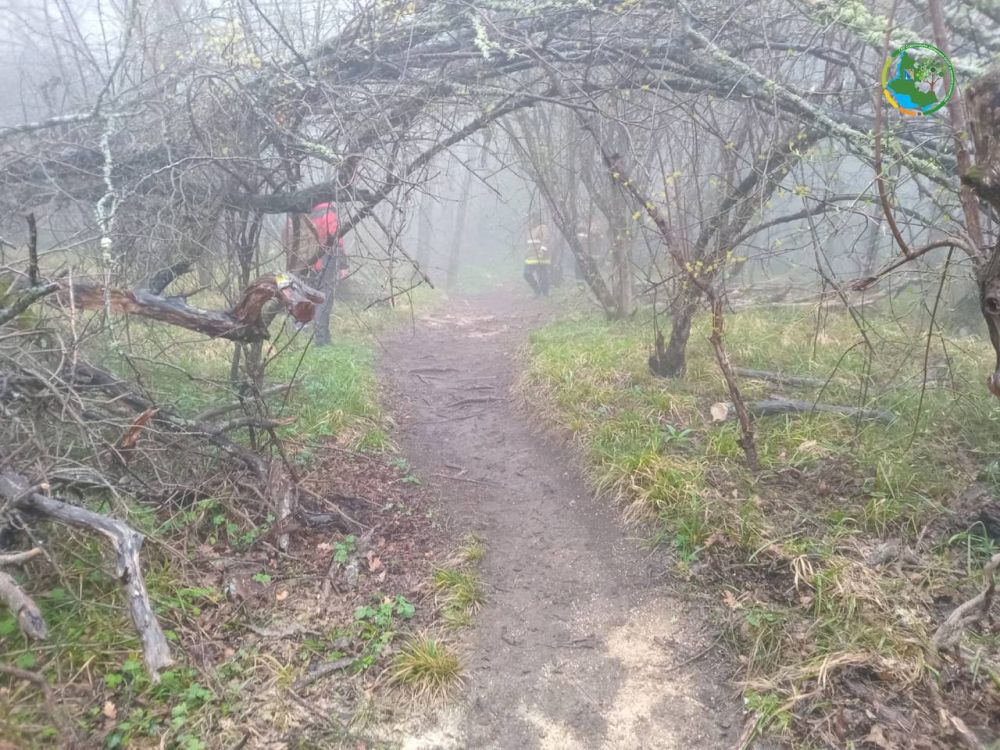 ���������� ��������� ���� � ������� ��������� ��������� �� ������������ ������� ������� ��������� �� ���������� ������� ��������������� �����