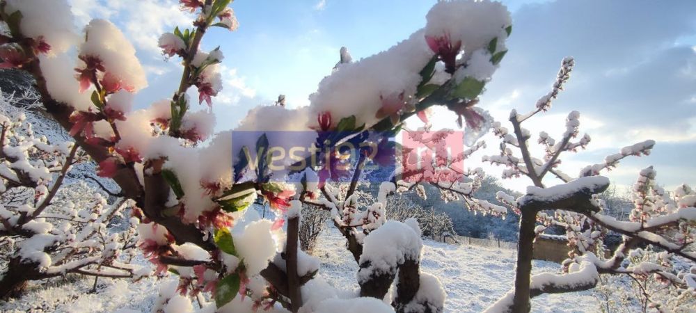 � ����������� ���� ����� ����������� ���������� �� -1