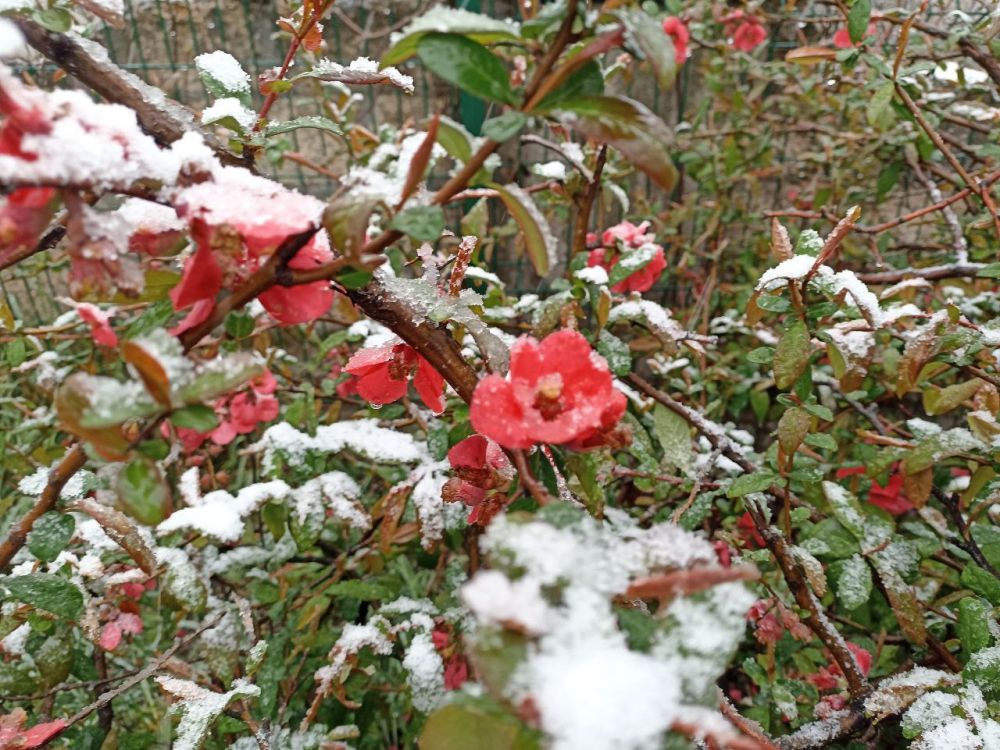 Доброго утра, Севастополь!