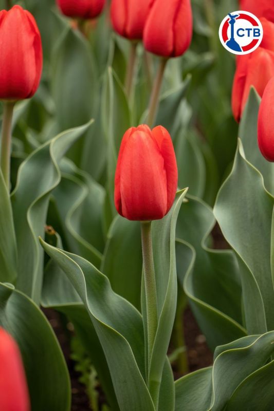 �� ���������� �������� ������ ��������������� ����� ���������