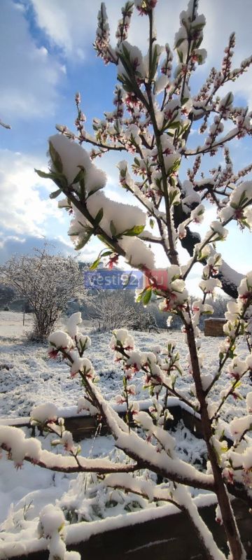 � ����������� ���� ����� ����������� ���������� �� -1