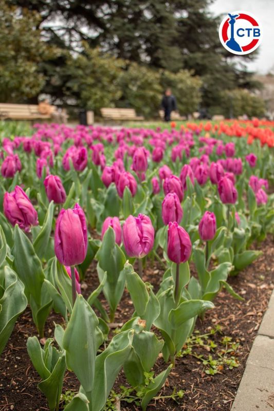 �� ���������� �������� ������ ��������������� ����� ���������