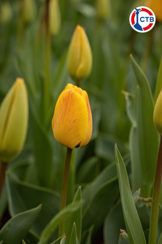 �� ���������� �������� ������ ��������������� ����� ���������