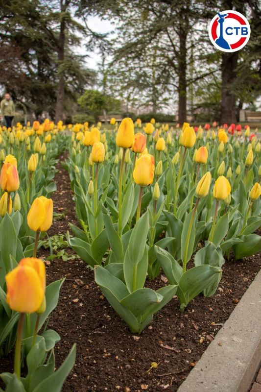 �� ���������� �������� ������ ��������������� ����� ���������