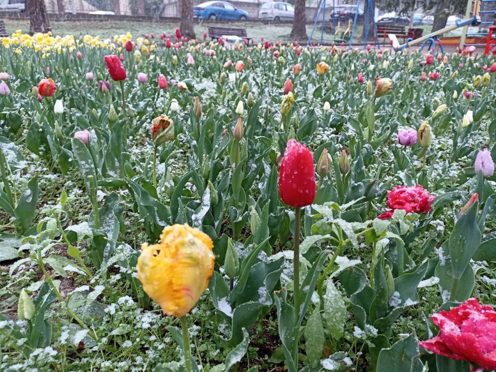 ������� ����, �����������!