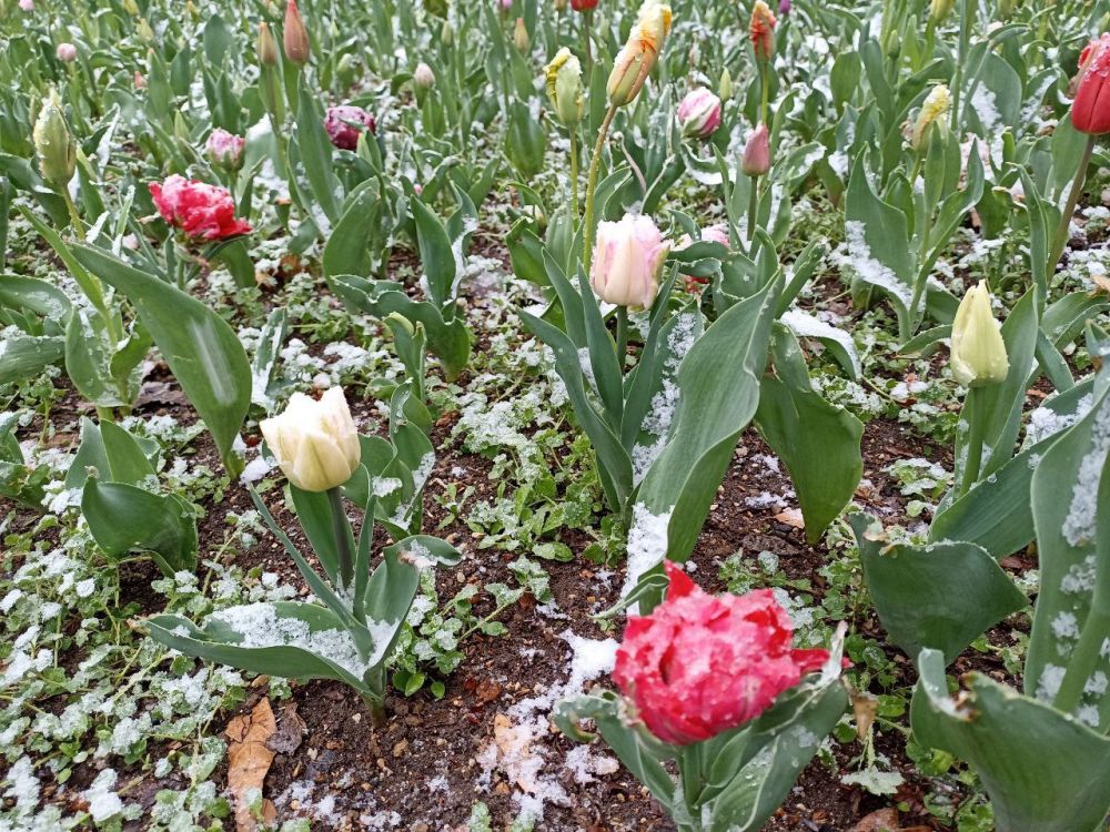 ������� ����, �����������!