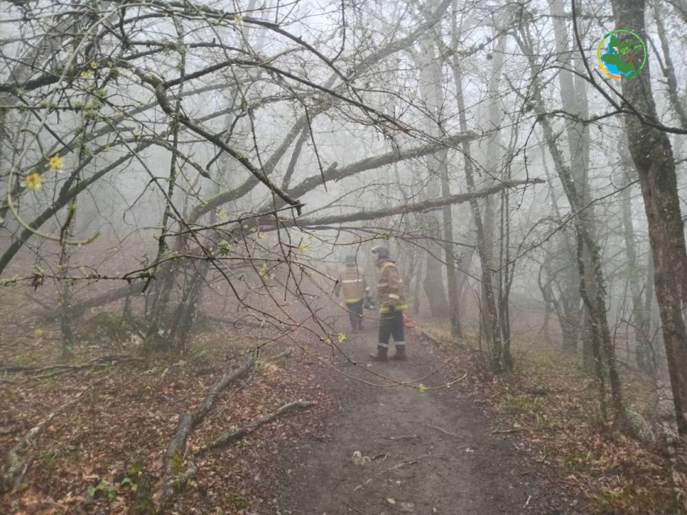 Сотрудники «Дирекции ООПТ и лесного хозяйства» совместно со спасательной службой провели субботник на территории Большой Севастопольской тропы