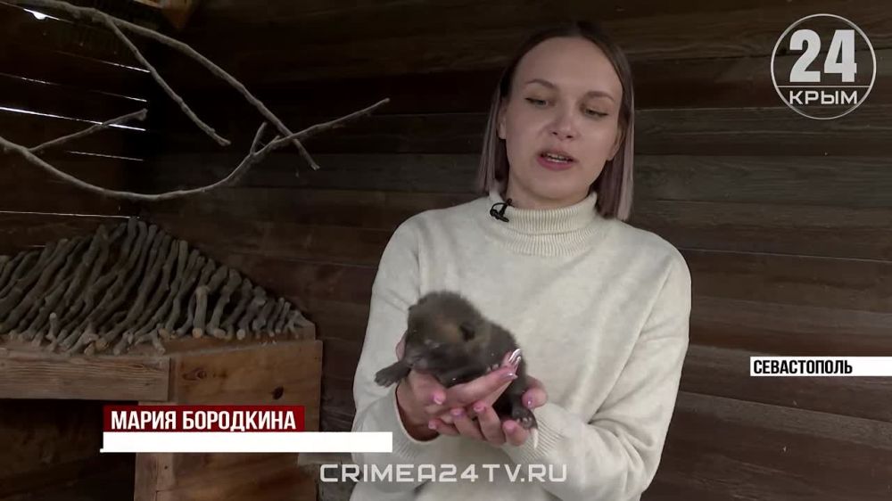 ������ ����� ��������� �� ���� �� ����� ����� � ������������