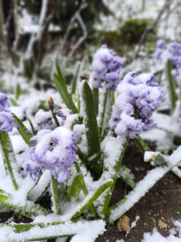 �� ������ ����������� ����� ��� ���� �������� ������ �������� �� ���������