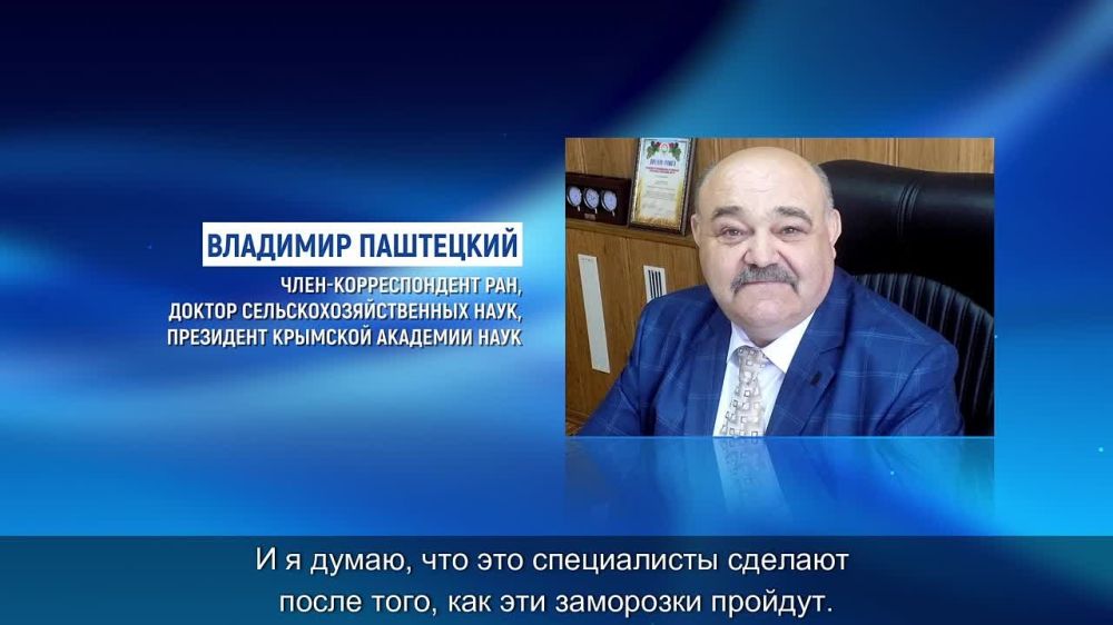 После тёплого марта с температурными рекордами начало апреля «порадовало» жителей полуострова снегопадом и ночными заморозками