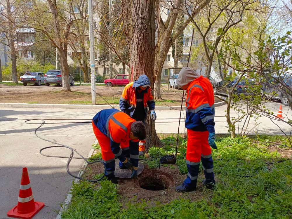 ���������: ������� �������. ������ �������� �������