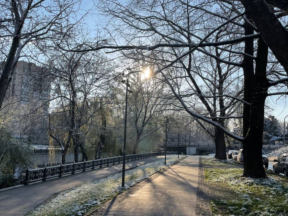 ������� ������ � ����� �� 9 ������