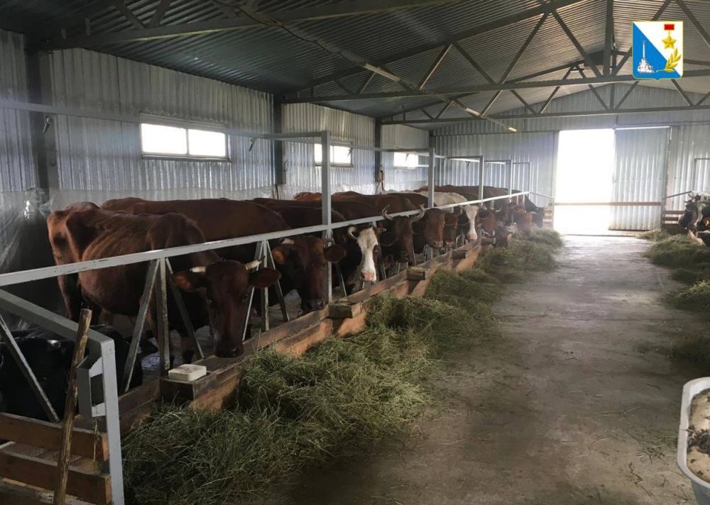 ���������� ����������� �������� �������� ������������ �������� �������� �����