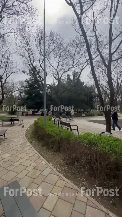 В сквере 60-летия СССР начали починку парковой мебели