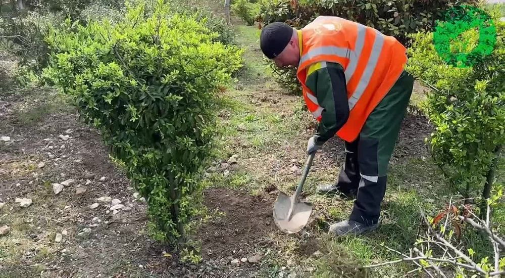 ������ ����, �������������!