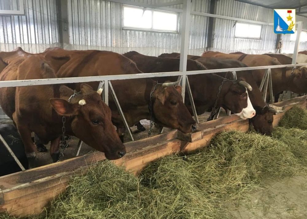 ���������� ����������� �������� �������� ������������ �������� �������� �����