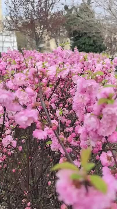 �������� ��������� � �����������