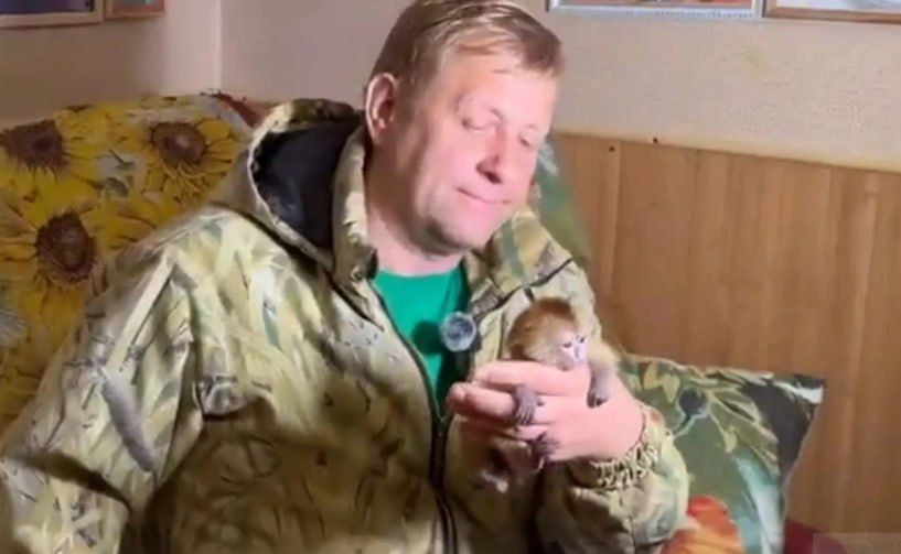 � ������� �������� ������ ������ ������, ��������� ����