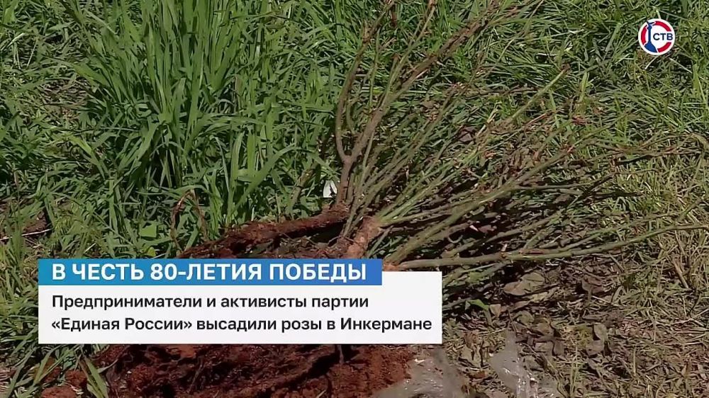 ��������������� � ��������� ������ ������� ������� �������� ���� � ���������