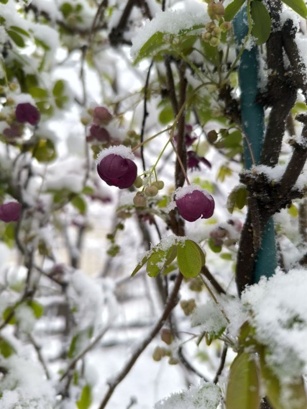 �� ������ ����������� ����� ��� ���� �������� ������ �������� �� ���������