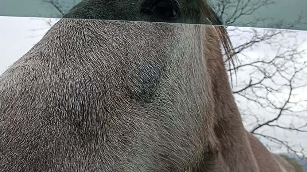 ������ ����, �����������! ������� ������������ �������� �������, � ��� ����������� �� ����� ���� �� ��� ������