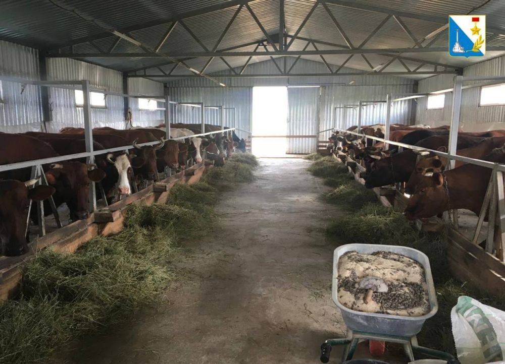 ���������� ����������� �������� �������� ������������ �������� �������� �����