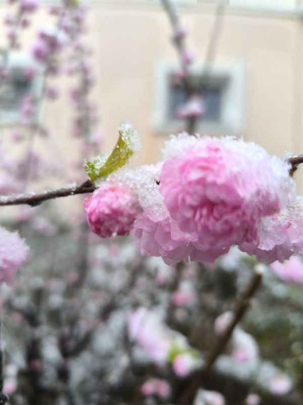 �� ������ ����������� ����� ��� ���� �������� ������ �������� �� ���������