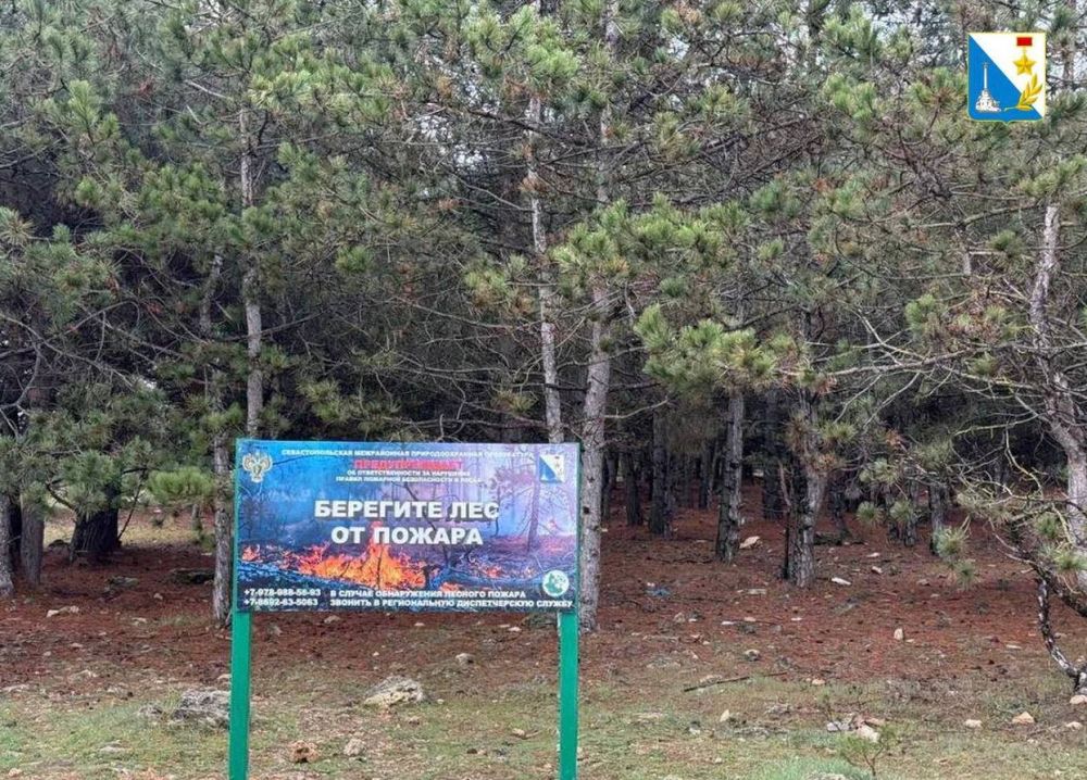 � ��������������� ����� ������������� �������������� ������ � �������� �������� ������������