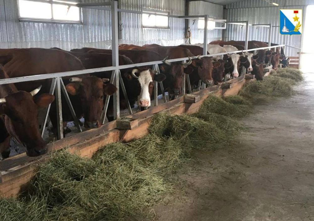 ���������� ����������� �������� �������� ������������ �������� �������� �����