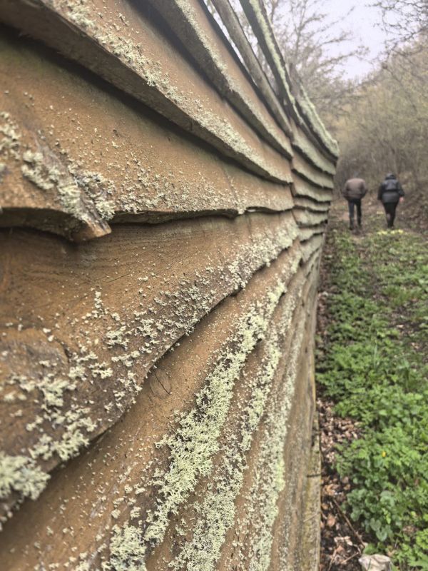 ����� ���������� ������� ����� � ����� ���������� - ���������� ������������ ��������� �������� � �������� �����������, ���� ������������ ������������� ������� �� ��������� �������