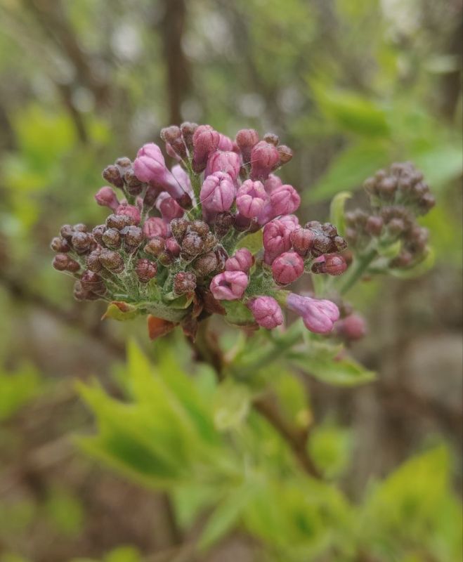 ���� ����� � ��������� ������� �� ����!