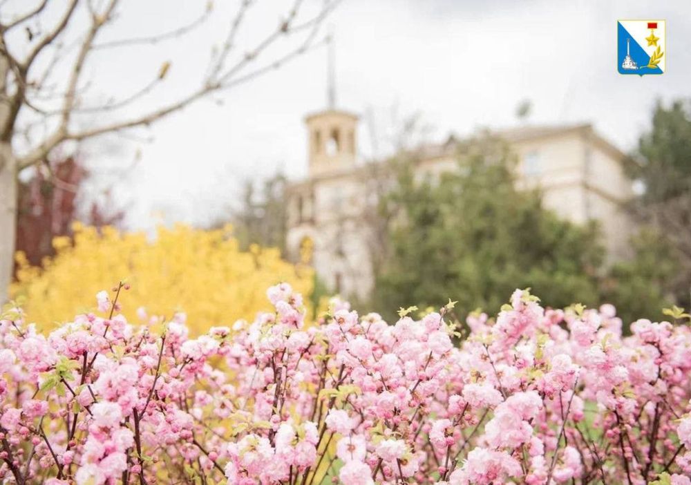 ���� ������ ��� ����� �������� 185 ����� ������, ��������� ���������� ������������ ������� � �������