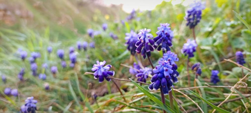 ������ ����, �����������! ������� ��� ����� ��������� ������