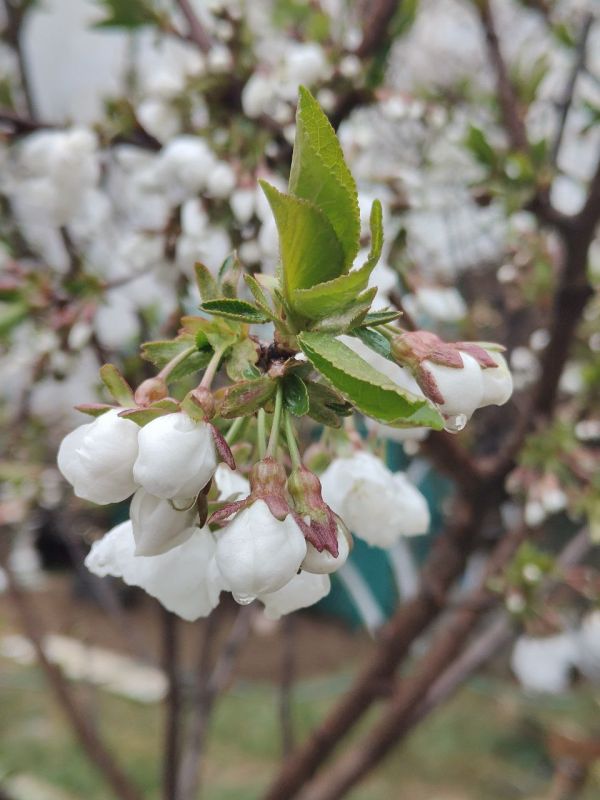 ���� ����� � ��������� ������� �� ����!