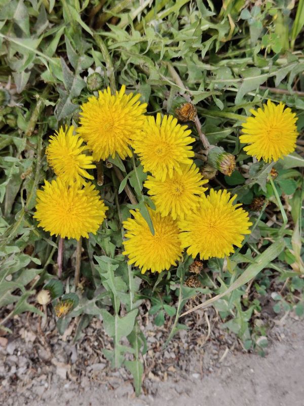 ���� ����� � ��������� ������� �� ����!