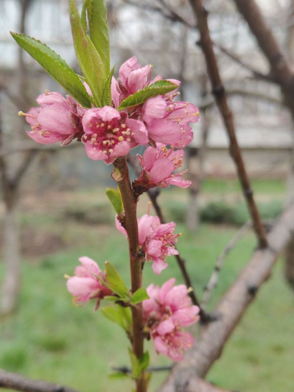 ���� ����� � ��������� ������� �� ����!