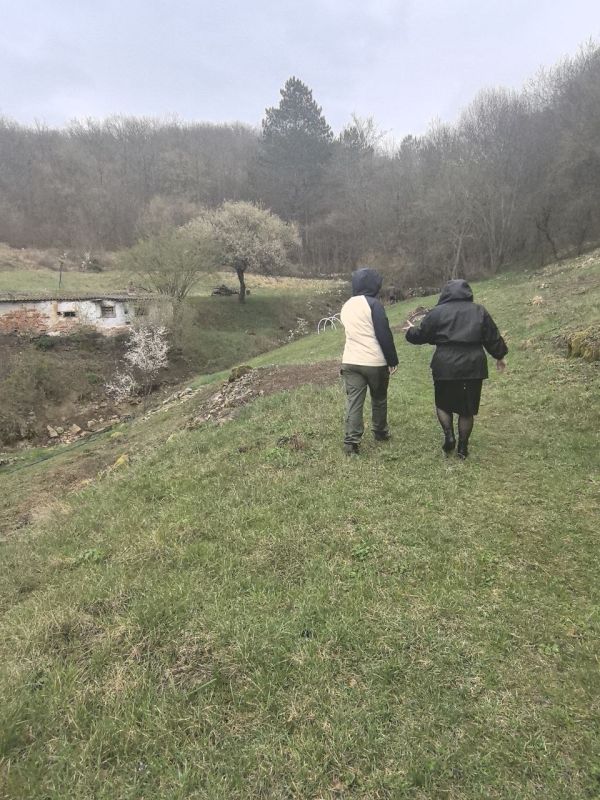 ����� ���������� ������� ����� � ����� ���������� - ���������� ������������ ��������� �������� � �������� �����������, ���� ������������ ������������� ������� �� ��������� �������